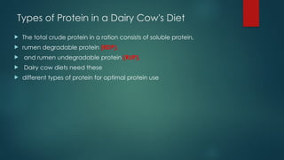 Protein Rumen protein digestion in ruminants, protein Fractions pptx | PPTX