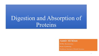 Digestion and Absorption of
Proteins
1
 