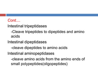 Cont....Intestinal tripeptidases	-Cleave tripeptides to dipeptides and amino acidsIntestinal dipeptidases	-cleave dipeptides to amino acidsIntestinal aminopeptidases	-cleave amino acids from the amino ends of small polypeptides(oligopeptides)