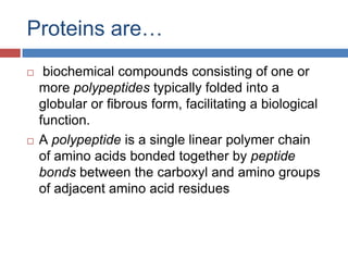 Proteins are… biochemical compounds consisting of one or more polypeptides typically folded into a globular or fibrous form, facilitating a biological function. A polypeptide is a single linear polymer chain of amino acids bonded together by peptide bonds between the carboxyl and amino groups of adjacent amino acid residues