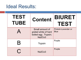 B. THE ACTION OF PANCREATIC PROTEASE (TRYPSIN) ON PROTEINSLabel 3 tubes, each half full of warm H2OTo the first tube add a small amount of grated white of hard boiled egg.To the first tube add a 0.5g of trypsin and 2ml of 0.5% NaCO3.To the second tube add 0.5g trypsin.To the third tube add 2ml of Na2CO3 solution.Keep the tube in a warm H2O bath kept at body temperature for an hour.Filter the contents of each tube and the Biuret test on each of the filtrates.Observe and record the results.