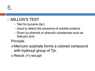 Protein Digestion Pathway  ( digestion doesn’t happen yet) Mouth and Salivary GlandsStomach( Gastric Phase)Small Intestine and Pancreas (Pancreatic Phase)	Blood