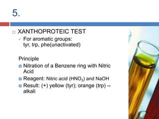 Given by phenols or phenolic substances such as Salicylic acidPrincipleMercuric sulphate forms a colored compound with hydroxyl group of Tyr. Result: (+) red ppt