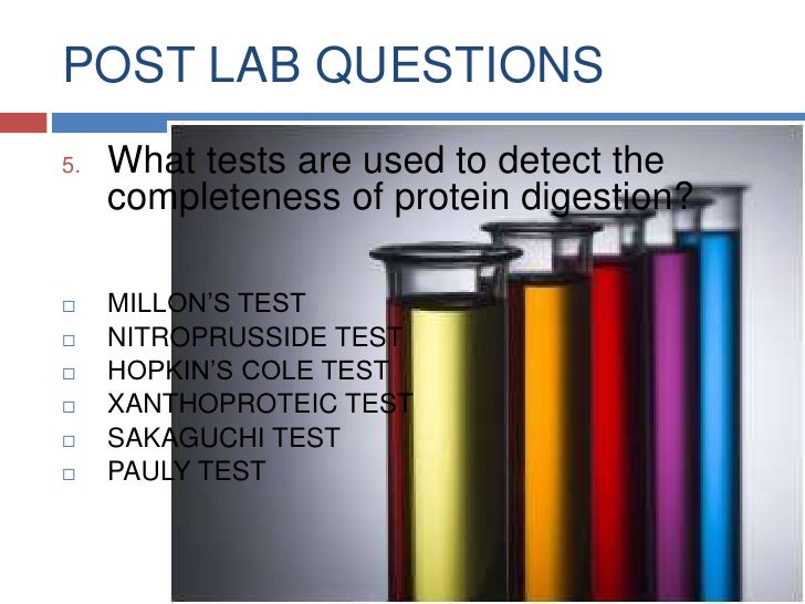 😀 Protein digestion lab with egg. Protein Digestion Experiment. 20190305