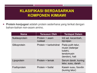 KLASIFIKASI BERDASARKAN
KOMPONEN KIMIAWI
Nama Tersusun Oleh Terdapat Dalam
Nukleoprotein Protein + asam
nukleat
Inti sel, kecambah,
biji-bijian
Glikoprotein Protein + karbohidrat Pada putih telur,
musin (kelenjar
ludah),
tendomusin
(tendon), hati
Lipoprotein Protein + lemak Serum darah, kuning
telur, susu, darah
Fosfoprotein Protein + fosfat Kasein susu, fosvitin
(kuning telur)
 Protein konjugasi adalah protein sederhana yang terikat dengan
bahan-bahan non-asam amino.
 