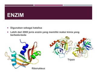 ENZIM
 Digunakan sebagai katalisa
 Lebih dari 2000 jenis enzim yang memiliki reaksi kimia yang
berbeda-beda
Ribonukleus
Tripsin
 