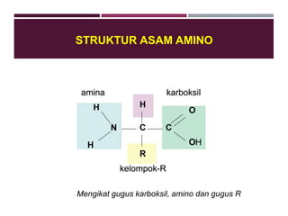 STRUKTUR ASAM AMINO
Mengikat gugus karboksil, amino dan gugus R
 