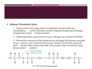  Adanya Perubahan Suhu
1. Terjadi karena suhu tinggi dapat meningkatkan energi kinetik dan
menyebabkan molekul penyusun protein bergerak sangat cepat sehingga
mengacaukan ikatan molekul tersebut.
2. Dapat digunakan untuk memutus ikatan hidrogen dan interaksi hidrofobik
3. Pemanasan membuat protein terdenaturasi sehingga kemampuan mengikat
airnya menurun dan membuat terputusnya interaksi non-kovalen yang ada
pada struktur alami protein tapi tidak memutuskan ikatan kovalennya yang
berupa ikatan peptida.
COPYRIGHT AYUMUSTOFA B41131724
 