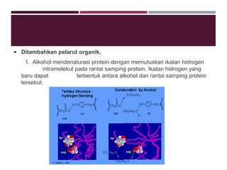  Ditambahkan pelarut organik,
1. Alkohol mendenaturasi protein dengan memutuskan ikatan hidrogen
intramolekul pada rantai samping protein. Ikatan hidrogen yang
baru dapat terbentuk antara alkohol dan rantai samping protein
tersebut.
 