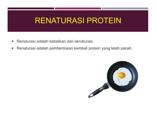  Renaturasi adalah kebalikan dari denaturasi.
 Renaturasi adalah pembentukan kembali protein yang telah pecah.
RENATURASI PROTEIN
 