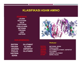 ESSENSIAL
LEUSIN
ISOLEUSIN
VALIN
TRIPTOPAN
FENILALANIN
METIONIN
TREONIN
LISIN
HISTIDIN
NON-ESSENSIAL
SISTEIN GLUTAMAT
TIROSIN ALANIN
ARGININ ASPARTAT
PROLIN GLUTAMIN
HISTIDIN
SERIN
Perkusor
METIONIN, SERIN
FENILALANIN
GLUTAMIN/GLUTAMAT, ASPARTAT
GLUTAMAT
ADENIN. GLUTAMAT
SERIN, KOLIN
SISTEIN
TIROSIN
ARGININ
PROLIN
HISTIDIN
GLISIN
KLASIFIKASI ASAM AMINO
 