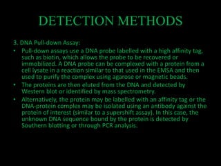 Protein – DNA interactions, an overview | PPTX