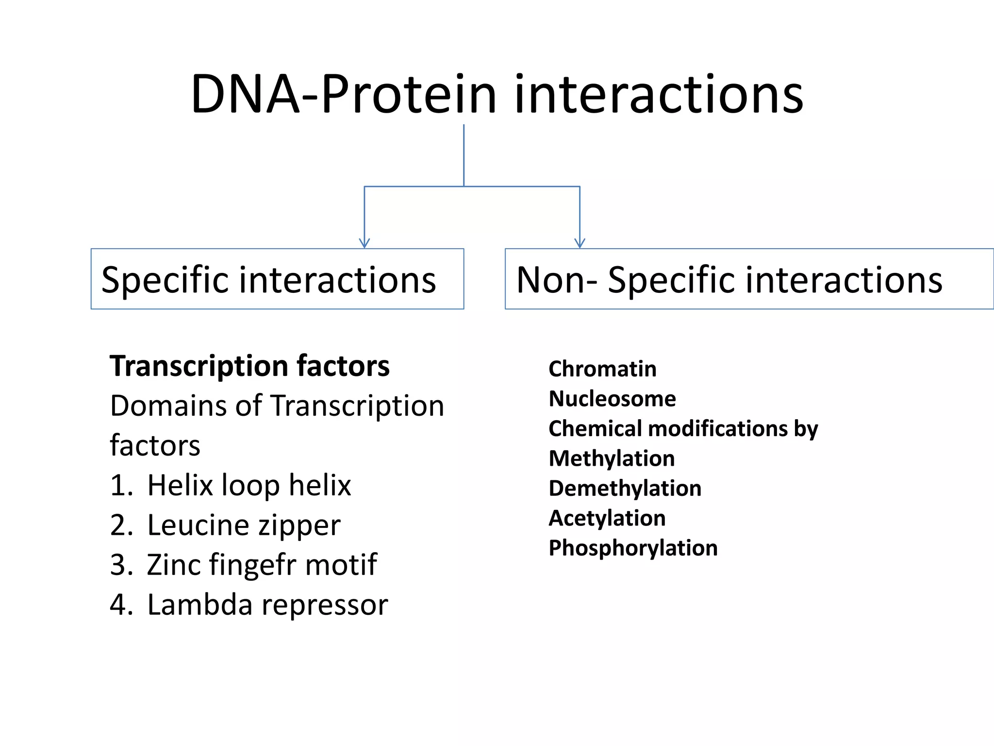 Protein dna interactions | PPTX