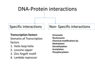 DNA-Protein interactions
Specific interactions Non- Specific interactions
Transcription factors
Domains of Transcription
factors
1. Helix loop helix
2. Leucine zipper
3. Zinc fingefr motif
4. Lambda repressor
Chromatin
Nucleosome
Chemical modifications by
Methylation
Demethylation
Acetylation
Phosphorylation
 
