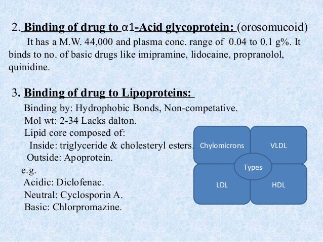 List Of Protein Binding Drugs , Drugs Highly Bound to Plasma Proteins ...