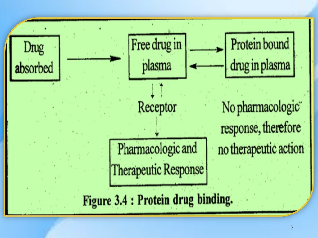 Protein drug binding