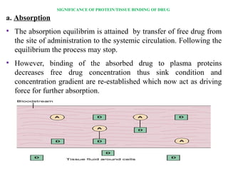 Protein drug binding | PPT