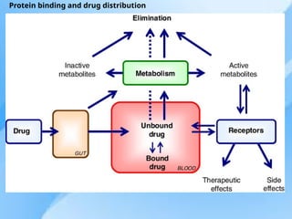 protein drug binding in detail - 1KDM.pptx