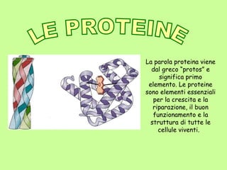 LE PROTEINE La parola proteina viene dal greco “protos” e significa primo elemento. Le proteine sono elementi essenziali per la crescita e la riparazione, il buon funzionamento e la struttura di tutte le cellule viventi.  