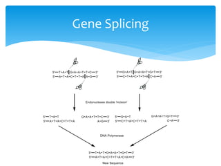Protein engineering | PPTX