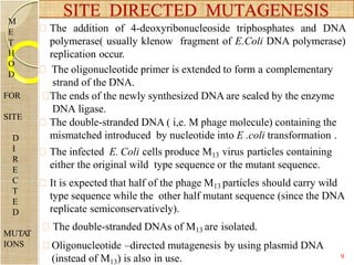 The addition of 4-deoxyribonucleoside triphosphates and DNA
polymerase( usually klenow fragment of E.Coli DNA polymerase)
replication occur.
The oligonucleotide primer is extended to form a complementary
strand of the DNA.
The ends of the newly synthesized DNA are sealed by the enzyme
DNA ligase.
The double-stranded DNA ( i,e. M phage molecule) containing the
mismatched introduced by nucleotide into E .coli transformation .
The infected E. Coli cells produce M13 virus particles containing
either the original wild type sequence or the mutant sequence.
It is expected that half of the phage M13 particles should carry wild
type sequence while the other half mutant sequence (since the DNA
replicate semiconservatively).
The double-stranded DNAs of M13 are isolated.
Oligonucleotide –directed mutagenesis by using plasmid DNA
(instead of M13) is also in use.
SITE DIRECTED MUTAGENESIS
M
E
T
H
O
D
FOR
SITE
D
I
R
E
C
T
E
D
MUTA
T
IONS
9
 