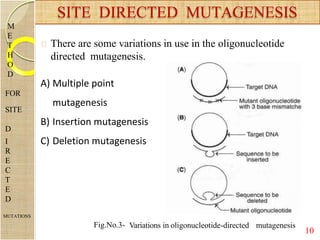 There are some variations in use in the oligonucleotide
directed mutagenesis.
SITE DIRECTED MUTAGENESIS
M
E
T
H
O
D
FOR
SITE
D
I
R
E
C
T
E
D
MUTATIONS
10
Fig.No.3- Variations in oligonucleotide-directed mutagenesis
A) Multiple point
mutagenesis
B) Insertion mutagenesis
C) Deletion mutagenesis
 