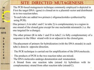 The PCR-based mutagenesis technique commonly employed is depicted in
First the target DNA (gene) is cloned on to a plasmid vector and distributed
in to two reaction tubes.
To each tube are added two primers ( oligonucleotides synthesized by
using PCR).
One primer ( A in tube1 and C in tube 2) is complementary to a region in
one strand of the cloned gene except for one nucleotide mismatch ( i.e. the
one targeted for a change).
The other primer (B in tube 1 and D in tube2 ) is fully complementary of a
sequence in the Other strand with in or adjacent to the cloned gene.
The placement of primers for hybridization (with the DNA strands) in each
tube is donein opposite direction.
The PCR technique is carried out for amplification of the DNAmolecule.
The products of PCR in the two reaction tubes are mixed.
The DNA molecules undergo denaturation and renaturation.
A Strand from one reaction tube (strand A) hybridizes with its
complementary strand from other reaction tube (strand C).
13
SITE DIRECTED MUTAGENESIS
M
E
T
H
O
D
FOR
SITE
D
I
R
E
C
T
E
D
MUTATIONS
 