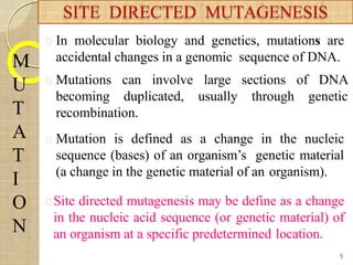 In molecular biology and genetics, mutations are
accidental changes in a genomic sequence of DNA.
Mutations can involve large sections of DNA
becoming duplicated, usually through genetic
recombination.
Mutation is defined as a change in the nucleic
sequence (bases) of an organism’s genetic material
(a change in the genetic material of an organism).
Site directed mutagenesis may be define as a change
in the nucleic acid sequence (or genetic material) of
an organism at a specific predetermined location.
SITE DIRECTED MUTAGENESIS
M
U
T
A
T
I
O
N
5
 