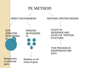 PE METHOD
DIRECT MUTAGENESIS RATIONAL PROTEIN DESIGN
SITE
DIRECTED
MUTAGENES
IS
RANDOM
MUTAGENES
IS
STUDY OF
SEQUENCE AND
STUDY OF PROTEIN
STUCTURE.
Mutagenesis
on particular
gene
Mutation on all
areas of gene
THIS PROCESS IS
INEXPENSIVE AND
EASY
 