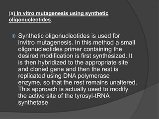 (a) In vitro mutagenesis using synthetic  oligonucleotides.Synthetic oligonucleotides is used for invitro mutagenesis. In this method a small oligonucleotides primer containing the desired modification is first synthesized. It is then hybridized to the appropriate site and cloned gene and then the rest is replicated using DNA polymerase enzyme, so that the rest remains unaltered. This approach is actually used to modify the active site of the tyrosyl-tRNA synthetase