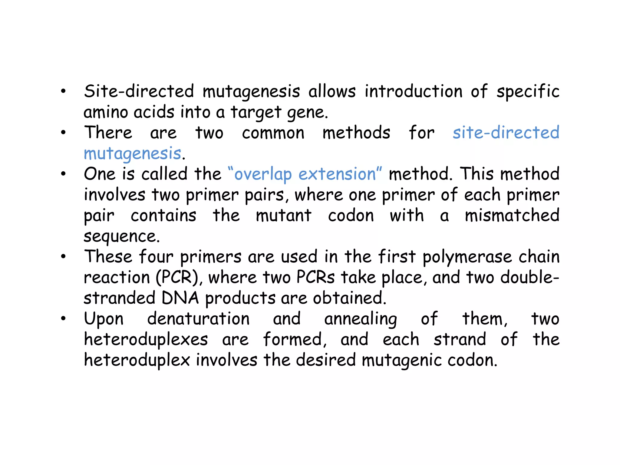 • Site-directed mutagenesis allows introduction of specific
amino acids into a target gene.
• There are two common methods for site-directed
mutagenesis.
• One is called the “overlap extension” method. This method
involves two primer pairs, where one primer of each primer
pair contains the mutant codon with a mismatched
sequence.
• These four primers are used in the first polymerase chain
reaction (PCR), where two PCRs take place, and two double-
stranded DNA products are obtained.
• Upon denaturation and annealing of them, two
heteroduplexes are formed, and each strand of the
heteroduplex involves the desired mutagenic codon.
 