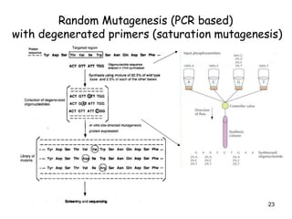 Protein engineering and its techniques himanshu | PPTX