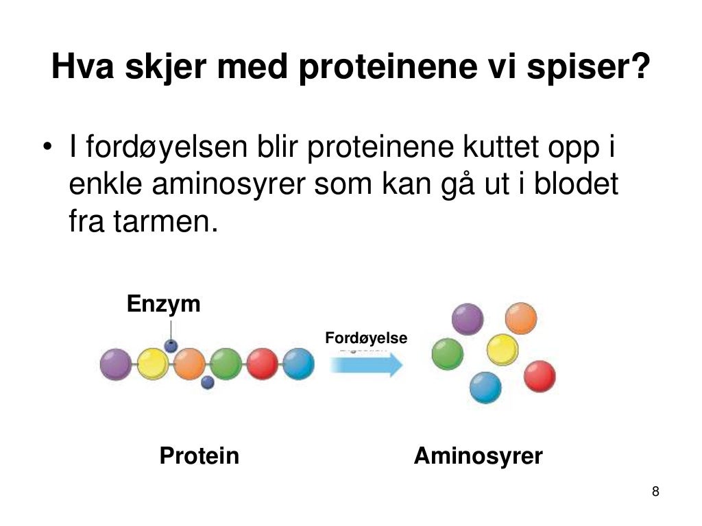 Proteiner