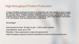 Creative BioMart professional teams of scientists can help speed up your project
by offering High-throughput protein production service up to 1,000 variants within
30 business days. Creative BioMart High-throughput protein production service
includes gene synthesis, mutagenesis, subcloning, pilot scale protein expression
in E. coli system, and one-step protein purification.
Advantages:
Fast turnaround time: 30 days to get ~1,000 protein variants
Cost-effective: Save up to 70%
Flexibility: Fully customized to meet all requirements
High-throughput capacity towards translational research and drug discovery.
High-throughput Protein Production
 