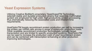 Utilizing Creative BioMart's proprietary YeastXceedTM Technology,
selected stable and durable production strains that resemble mammalian
system are employed for high-yield, high-productivity protein processing,
thus dramatically reducing the associated costs and inherent time
requirements.
HostOptimTM boosts recombinant protein production per cell by increasing
the protein per mRNA ratio across a range of eukaryotic production hosts.
Other available recombinant production technologies typically target
transcription and are limited to specific production systems. HostOptimTM
can be used to increase the production yield of your recombinant protein
and can be combined with transcription enhancing or other production
improving technologies.
Yeast Expression Systems
 