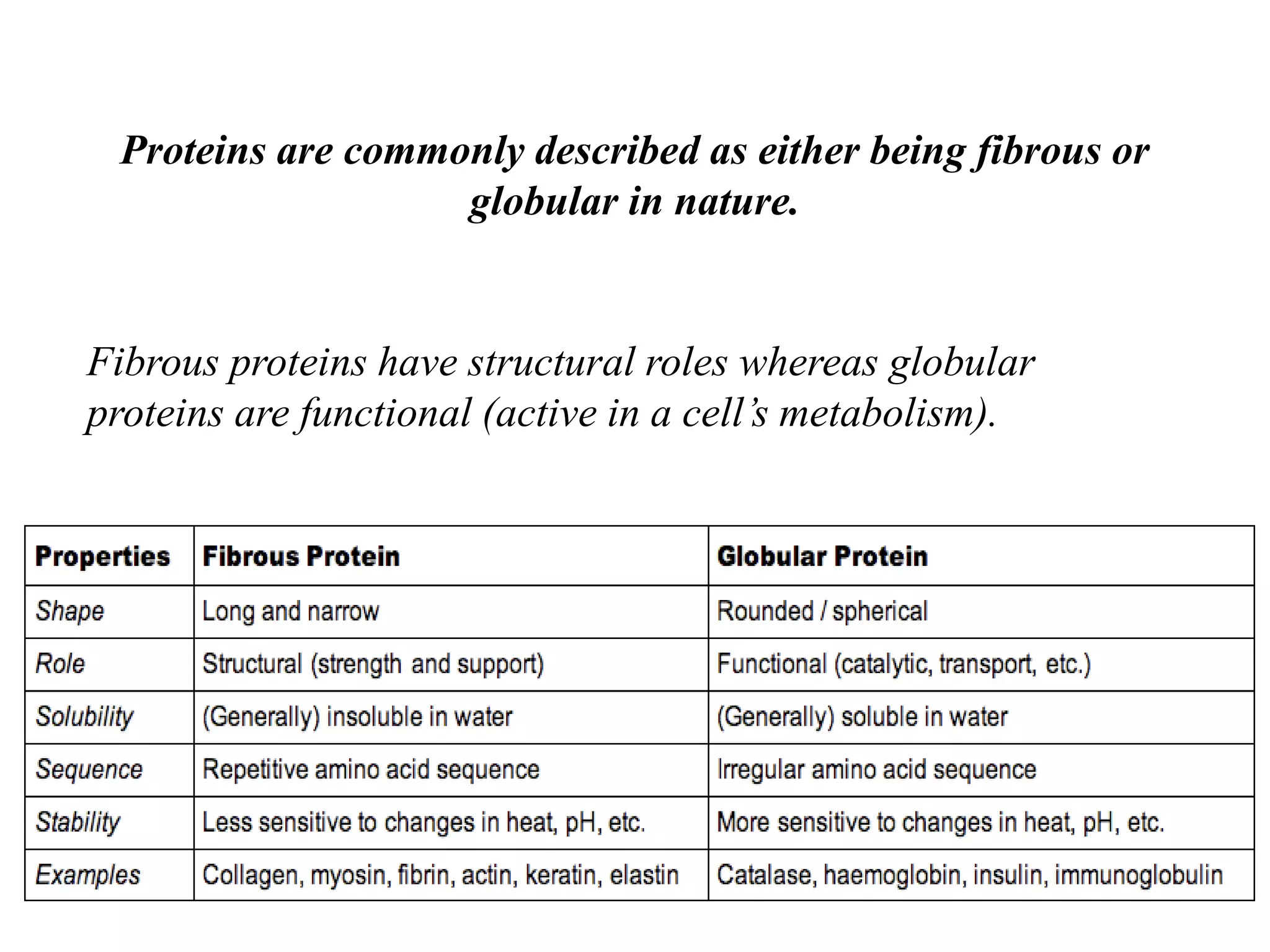 Proteins are commonly described as either being fibrous or
globular in nature.
Fibrous proteins have structural roles whereas globular
proteins are functional (active in a cell’s metabolism).
 