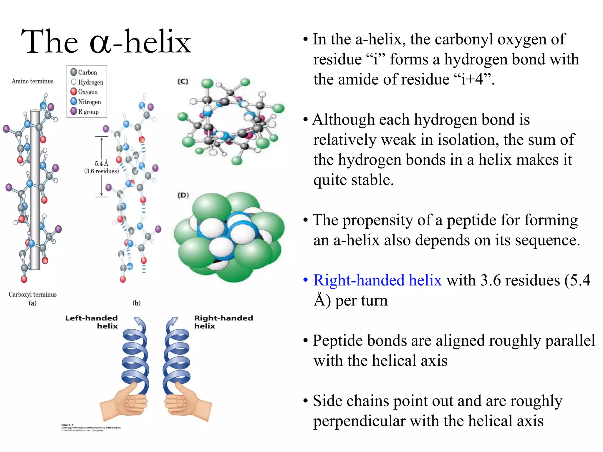 The a-helix • In the a-helix, the carbonyl oxygen of
residue “i” forms a hydrogen bond with
the amide of residue “i+4”.
• Although each hydrogen bond is
relatively weak in isolation, the sum of
the hydrogen bonds in a helix makes it
quite stable.
• The propensity of a peptide for forming
an a-helix also depends on its sequence.
• Right-handed helix with 3.6 residues (5.4
Å) per turn
• Peptide bonds are aligned roughly parallel
with the helical axis
• Side chains point out and are roughly
perpendicular with the helical axis
 