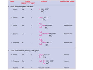 Comprehensive Overview of Proteins: Structure, Function, and ...
