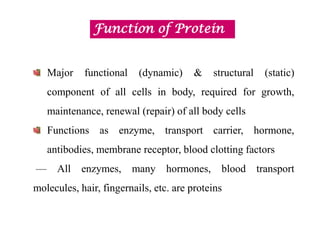 Comprehensive Overview of Proteins: Structure, Function, and ...