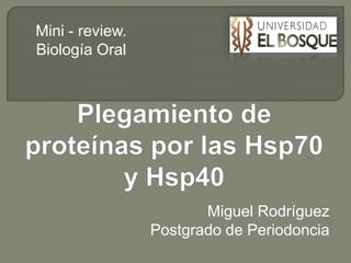 Mini - review. Biología Oral Plegamiento de proteínas por las Hsp70 y Hsp40 Miguel Rodríguez Postgrado de Periodoncia 
