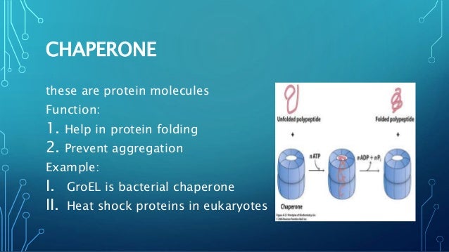 structures salt definition Protein folding