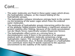  The water molecules are fixed in these water cages which drives
the hydrophobic collapse, or the inward folding of the
hydrophobic groups.
 The hydrophobic collapse introduces entropy back to the system
via the breaking of the water cages which frees the ordered
water molecules.
 The multitude of hydrophobic groups interacting within the core
of the globular folded protein contributes a significant amount to
protein stability after folding, because of the vastly accumulated
van der Waals forces (specifically London Dispersion forces).
 The hydrophobic effect exists as a driving force in
thermodynamics only if there is the presence of an aqueous
medium with an amphiphilic molecule containing a large
hydrophobic region. The strength of hydrogen bonds depends
on their environment; thus, H-bonds enveloped in a hydrophobic
core contribute more than H-bonds exposed to the aqueous
environment to the stability of the native state.
 
