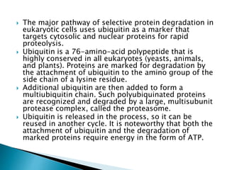  The major pathway of selective protein degradation in
eukaryotic cells uses ubiquitin as a marker that
targets cytosolic and nuclear proteins for rapid
proteolysis.
 Ubiquitin is a 76-amino-acid polypeptide that is
highly conserved in all eukaryotes (yeasts, animals,
and plants). Proteins are marked for degradation by
the attachment of ubiquitin to the amino group of the
side chain of a lysine residue.
 Additional ubiquitin are then added to form a
multiubiquitin chain. Such polyubiquinated proteins
are recognized and degraded by a large, multisubunit
protease complex, called the proteasome.
 Ubiquitin is released in the process, so it can be
reused in another cycle. It is noteworthy that both the
attachment of ubiquitin and the degradation of
marked proteins require energy in the form of ATP.
 