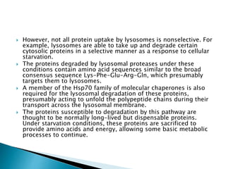  However, not all protein uptake by lysosomes is nonselective. For
example, lysosomes are able to take up and degrade certain
cytosolic proteins in a selective manner as a response to cellular
starvation.
 The proteins degraded by lysosomal proteases under these
conditions contain amino acid sequences similar to the broad
consensus sequence Lys-Phe-Glu-Arg-Gln, which presumably
targets them to lysosomes.
 A member of the Hsp70 family of molecular chaperones is also
required for the lysosomal degradation of these proteins,
presumably acting to unfold the polypeptide chains during their
transport across the lysosomal membrane.
 The proteins susceptible to degradation by this pathway are
thought to be normally long-lived but dispensable proteins.
Under starvation conditions, these proteins are sacrificed to
provide amino acids and energy, allowing some basic metabolic
processes to continue.
 