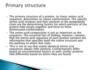  The primary structure of a protein, its linear amino-acid
sequence, determines its native conformation. The specific
amino acid residues and their position in the polypeptide
chain are the determining factors for which portions of the
protein fold closely together and form its three
dimensional conformation.
 The amino acid composition is not as important as the
sequence. The essential fact of folding, however, remains
that the amino acid sequence of each protein contains the
information that specifies both the native structure and
the pathway to attain that state.
 This is not to say that nearly identical amino acid
sequences always fold similarly. Conformations differ
based on environmental factors as well; similar proteins
fold differently based on where they are found.
 