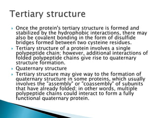  Once the protein's tertiary structure is formed and
stabilized by the hydrophobic interactions, there may
also be covalent bonding in the form of disulfide
bridges formed between two cysteine residues.
 Tertiary structure of a protein involves a single
polypeptide chain; however, additional interactions of
folded polypeptide chains give rise to quaternary
structure formation.
 Quaternary structure
 Tertiary structure may give way to the formation of
quaternary structure in some proteins, which usually
involves the "assembly" or "coassembly" of subunits
that have already folded; in other words, multiple
polypeptide chains could interact to form a fully
functional quaternary protein.
 