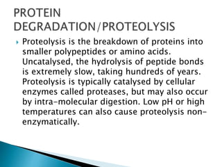  Proteolysis is the breakdown of proteins into
smaller polypeptides or amino acids.
Uncatalysed, the hydrolysis of peptide bonds
is extremely slow, taking hundreds of years.
Proteolysis is typically catalysed by cellular
enzymes called proteases, but may also occur
by intra-molecular digestion. Low pH or high
temperatures can also cause proteolysis non-
enzymatically.
 