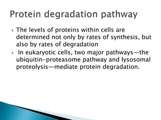  The levels of proteins within cells are
determined not only by rates of synthesis, but
also by rates of degradation
 In eukaryotic cells, two major pathways—the
ubiquitin-proteasome pathway and lysosomal
proteolysis—mediate protein degradation.
 