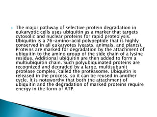  The major pathway of selective protein degradation in
eukaryotic cells uses ubiquitin as a marker that targets
cytosolic and nuclear proteins for rapid proteolysis.
Ubiquitin is a 76-amino-acid polypeptide that is highly
conserved in all eukaryotes (yeasts, animals, and plants).
Proteins are marked for degradation by the attachment of
ubiquitin to the amino group of the side chain of a lysine
residue. Additional ubiquitin are then added to form a
multiubiquitin chain. Such polyubiquinated proteins are
recognized and degraded by a large, multisubunit
protease complex, called the proteasome. Ubiquitin is
released in the process, so it can be reused in another
cycle. It is noteworthy that both the attachment of
ubiquitin and the degradation of marked proteins require
energy in the form of ATP.
 