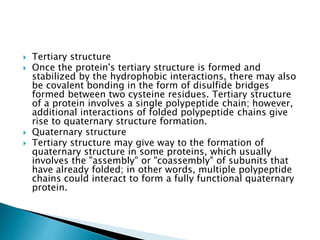  Tertiary structure
 Once the protein's tertiary structure is formed and
stabilized by the hydrophobic interactions, there may also
be covalent bonding in the form of disulfide bridges
formed between two cysteine residues. Tertiary structure
of a protein involves a single polypeptide chain; however,
additional interactions of folded polypeptide chains give
rise to quaternary structure formation.
 Quaternary structure
 Tertiary structure may give way to the formation of
quaternary structure in some proteins, which usually
involves the "assembly" or "coassembly" of subunits that
have already folded; in other words, multiple polypeptide
chains could interact to form a fully functional quaternary
protein.
 